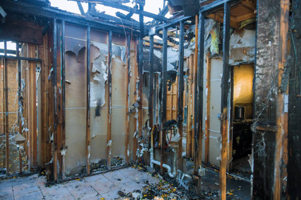 Professional Odor Removal technician working in Berea, OH